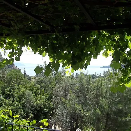 Villa Paradise