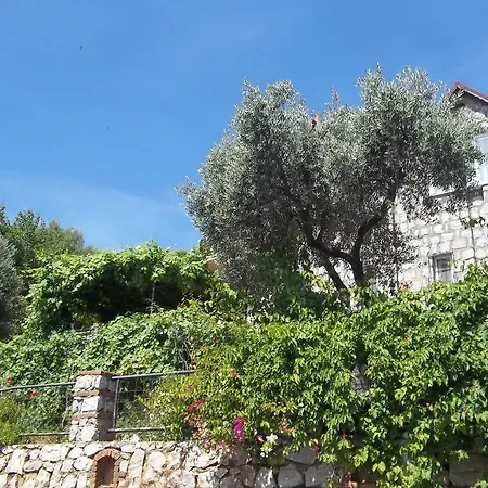 Paradise Villa