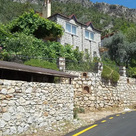 Paradise Villa *
