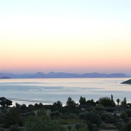 Paradise Villa